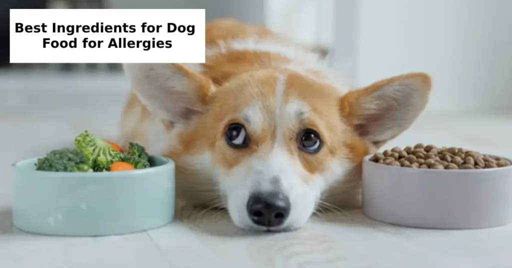 Best Ingredients for Dog Food for Allergies