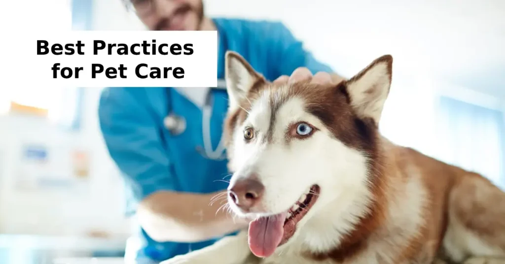 What Are the Best Practices for Pet Care and Training?