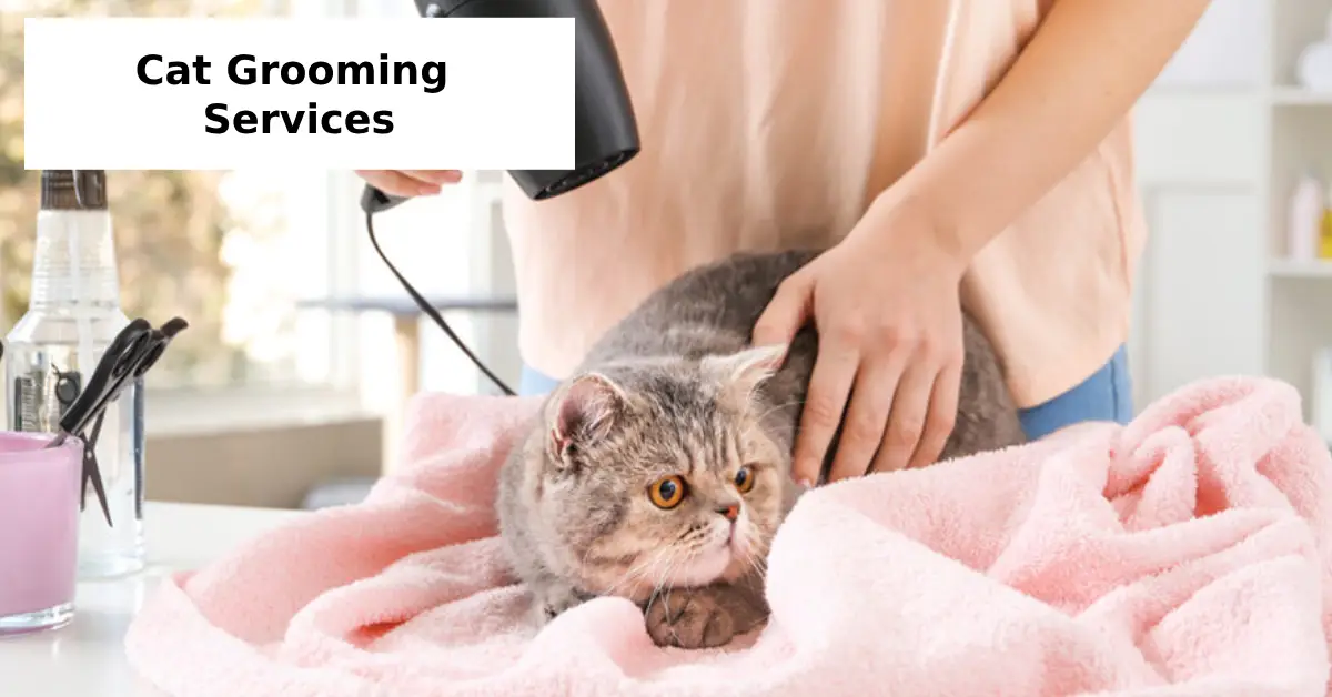 Cat Grooming Services near me