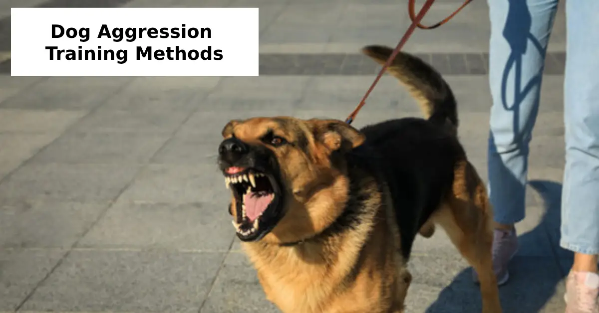 Dog Aggression Training Methods