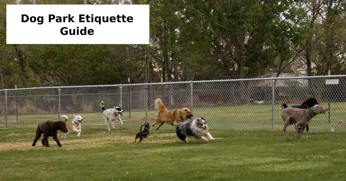 Dog Park Etiquette