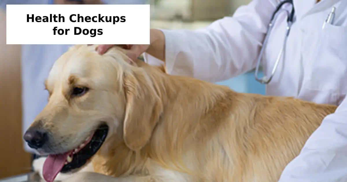 Health Checkups for Dogs