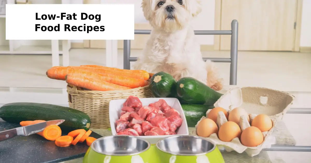 Low-Fat Dog Food Recipes
