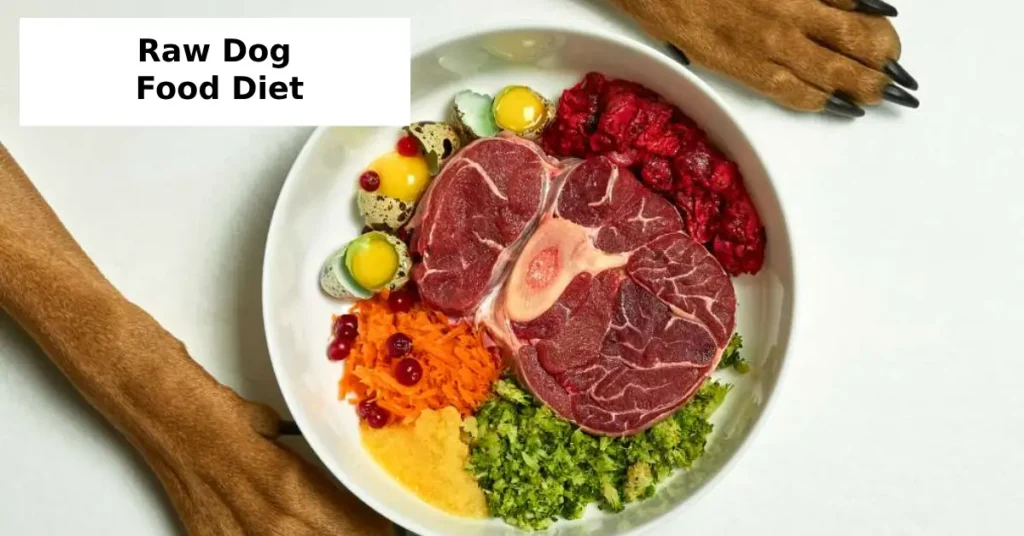 Raw Dog Food Diet