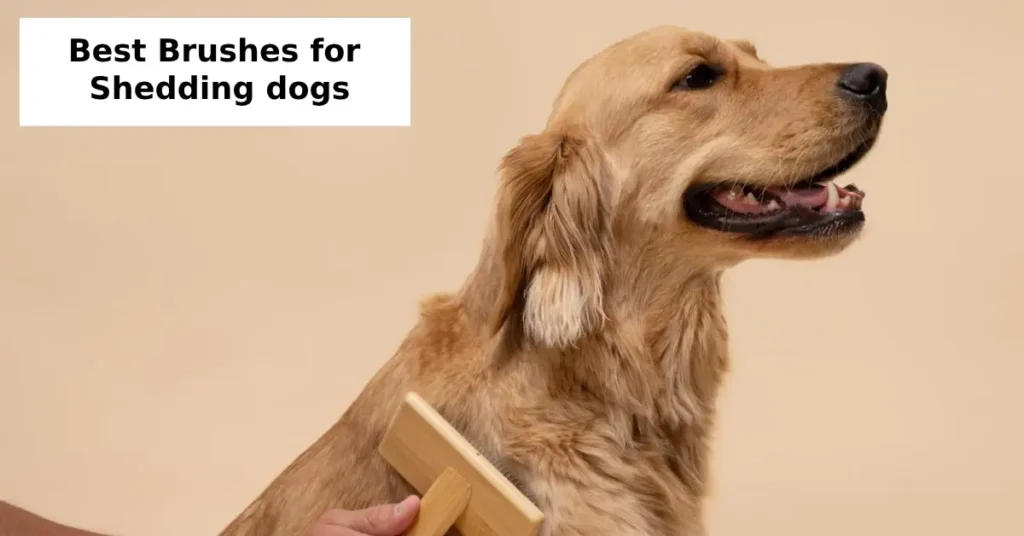 best brushes for shedding dogs