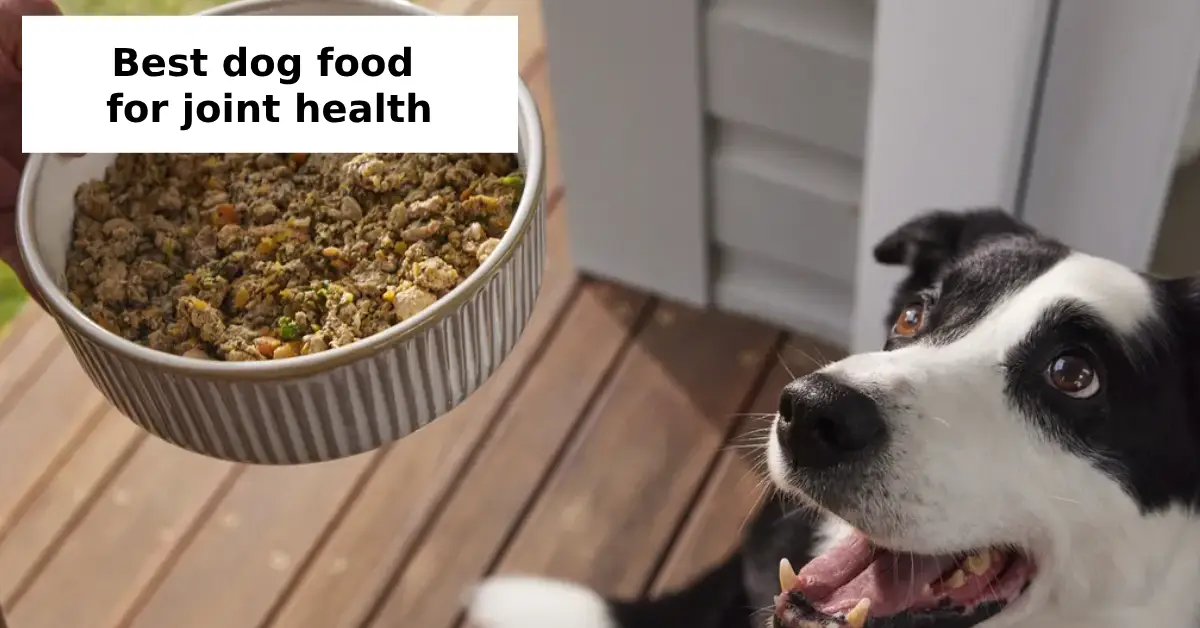 best dog food for joint health