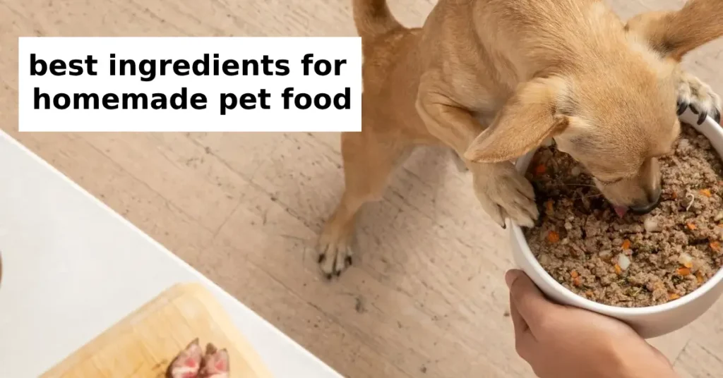 best ingredients for homemade pet food