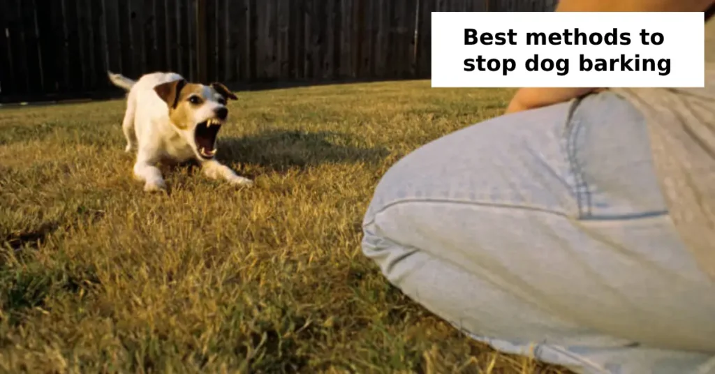 best methods to stop dog barking
