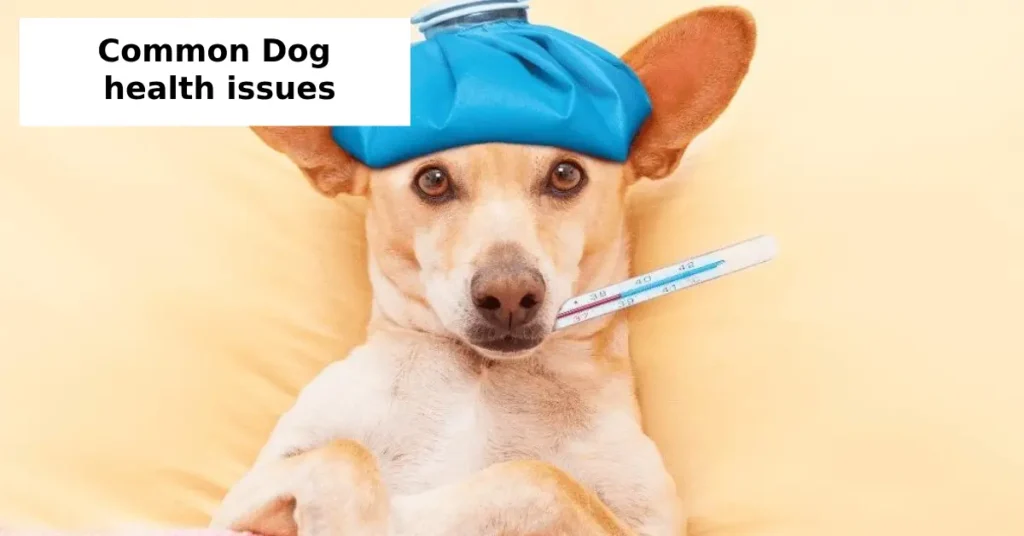common dog health issues
