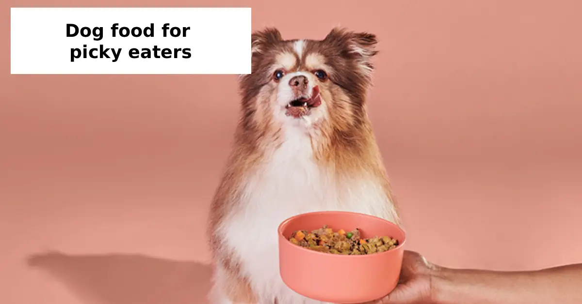 dog food for picky eaters