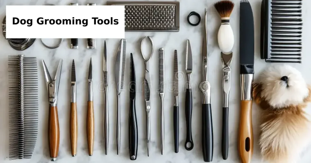 dog grooming tools for beginners