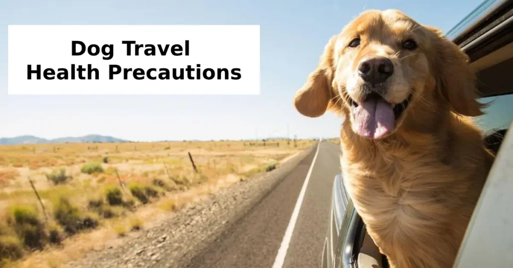 Top 7 Health Precautions for Dog Travel