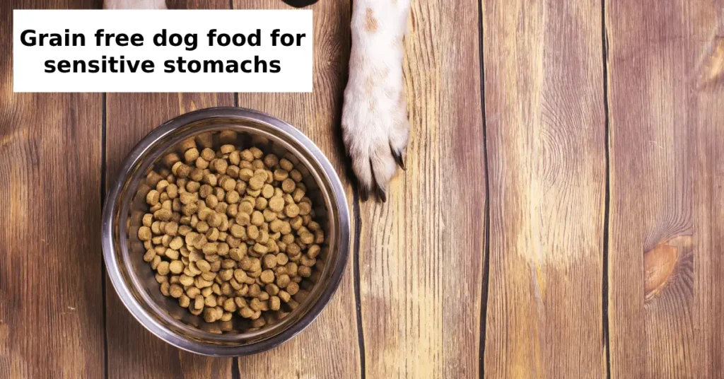 grain-free dog food for sensitive stomachs