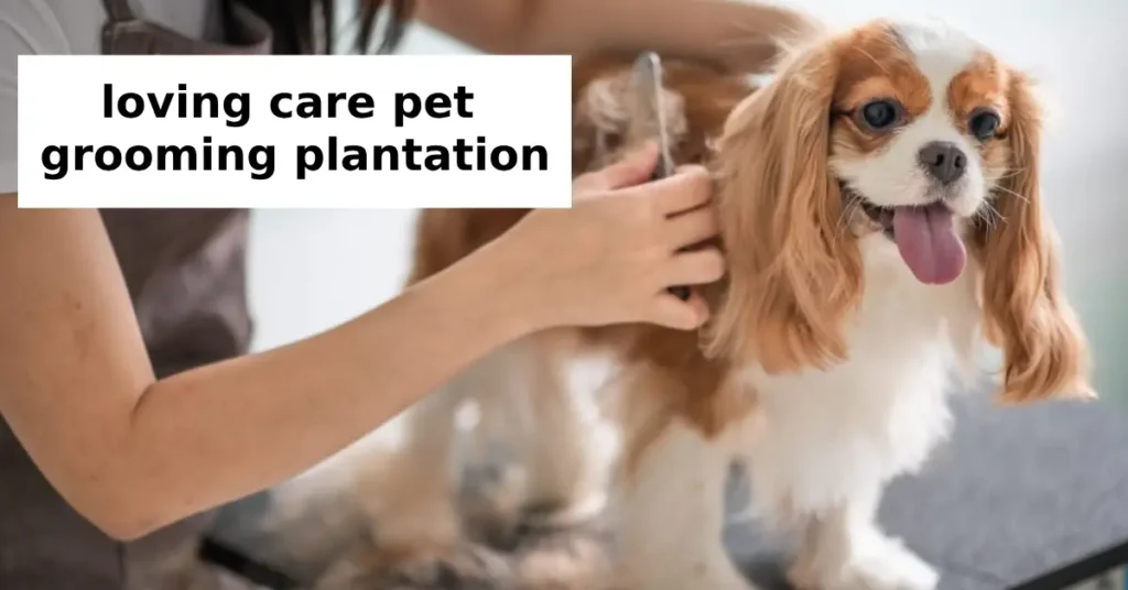 The Ultimate Guide to Loving Care Pet Grooming in Plantation