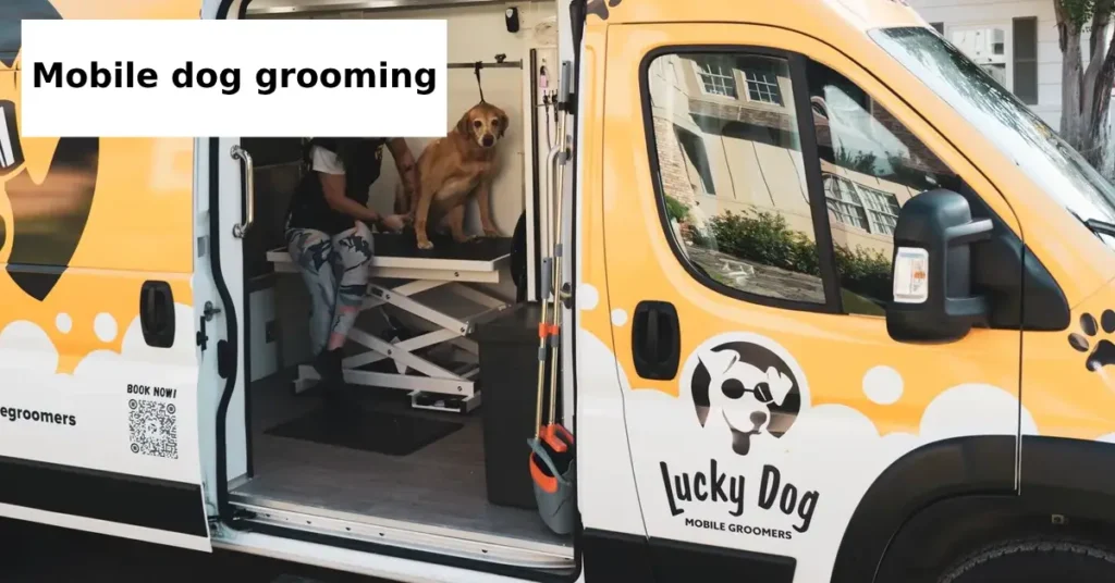 How to Choose the Best Mobile Dog Grooming Service Near You