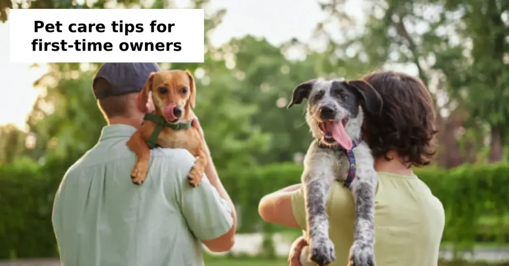 pet care tips for first-time owners