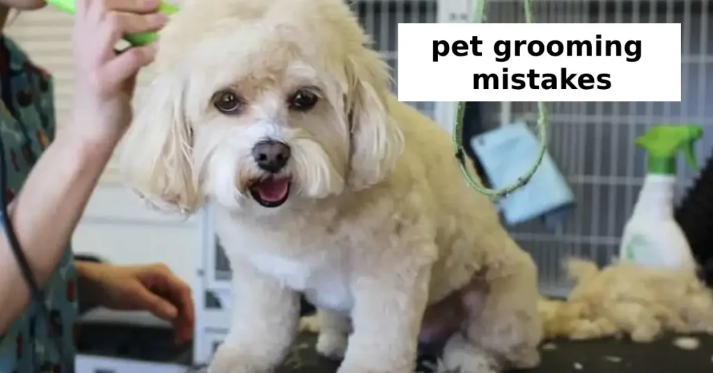 pet grooming mistakes