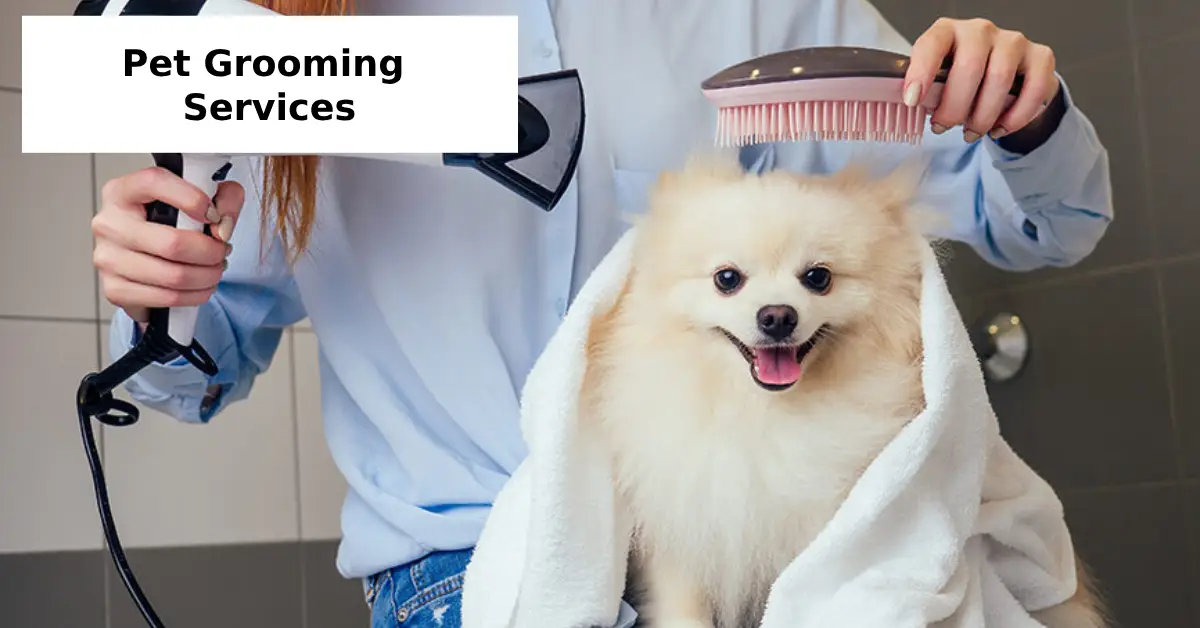 pet grooming services