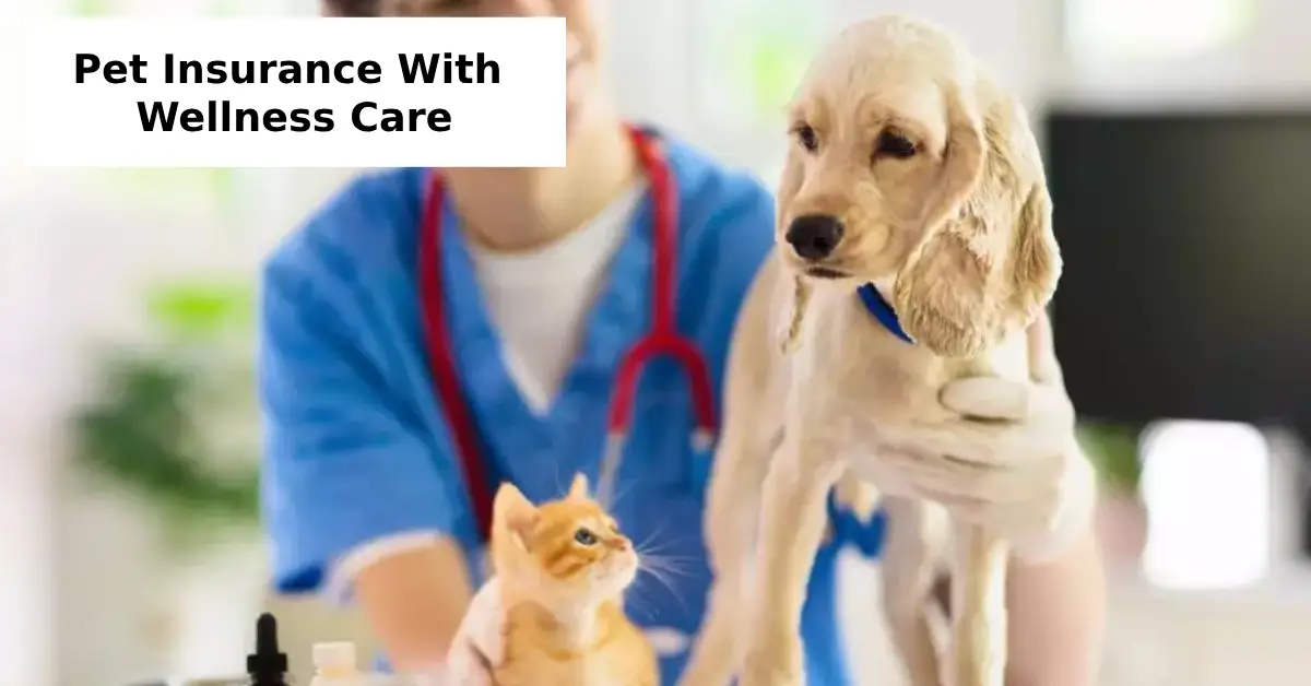 pet insurance with wellness care