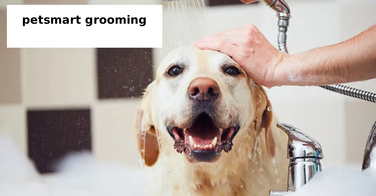 petsmart grooming