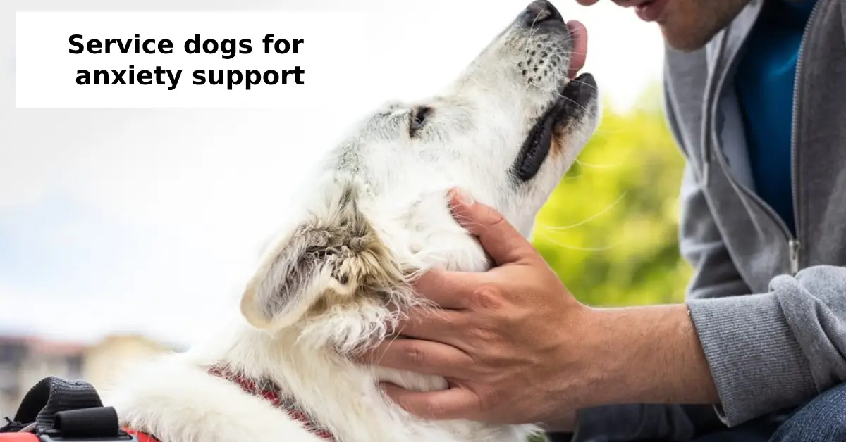service dogs for anxiety support