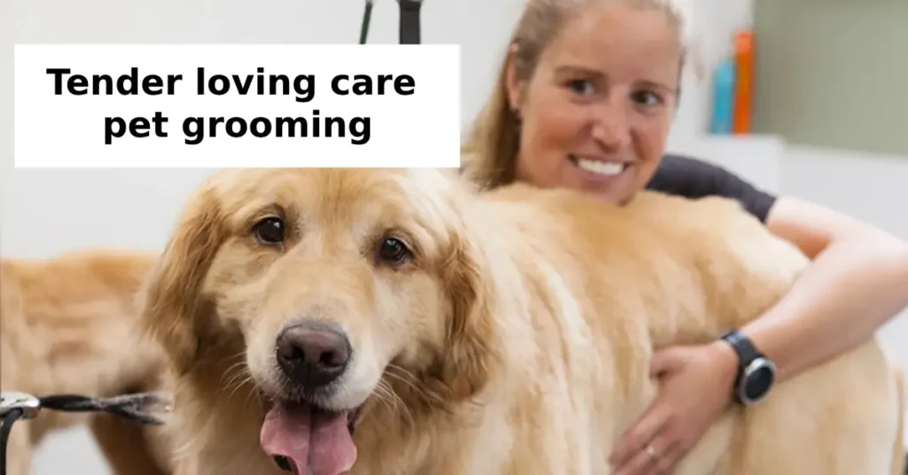 tender loving care pet ​grooming
