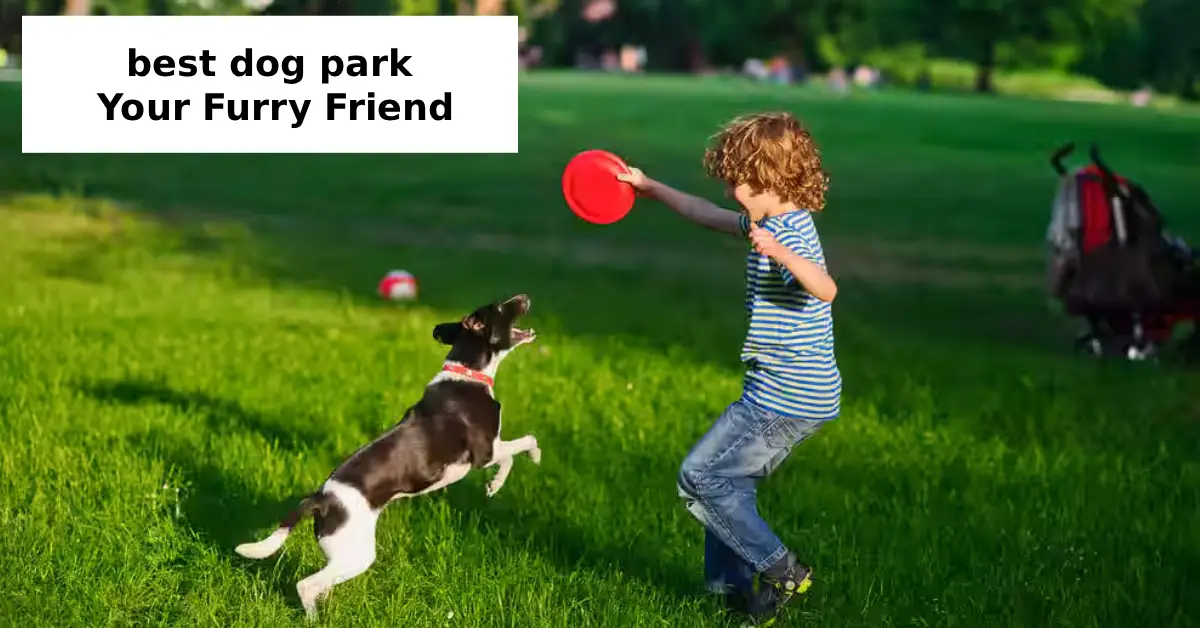 best dog park