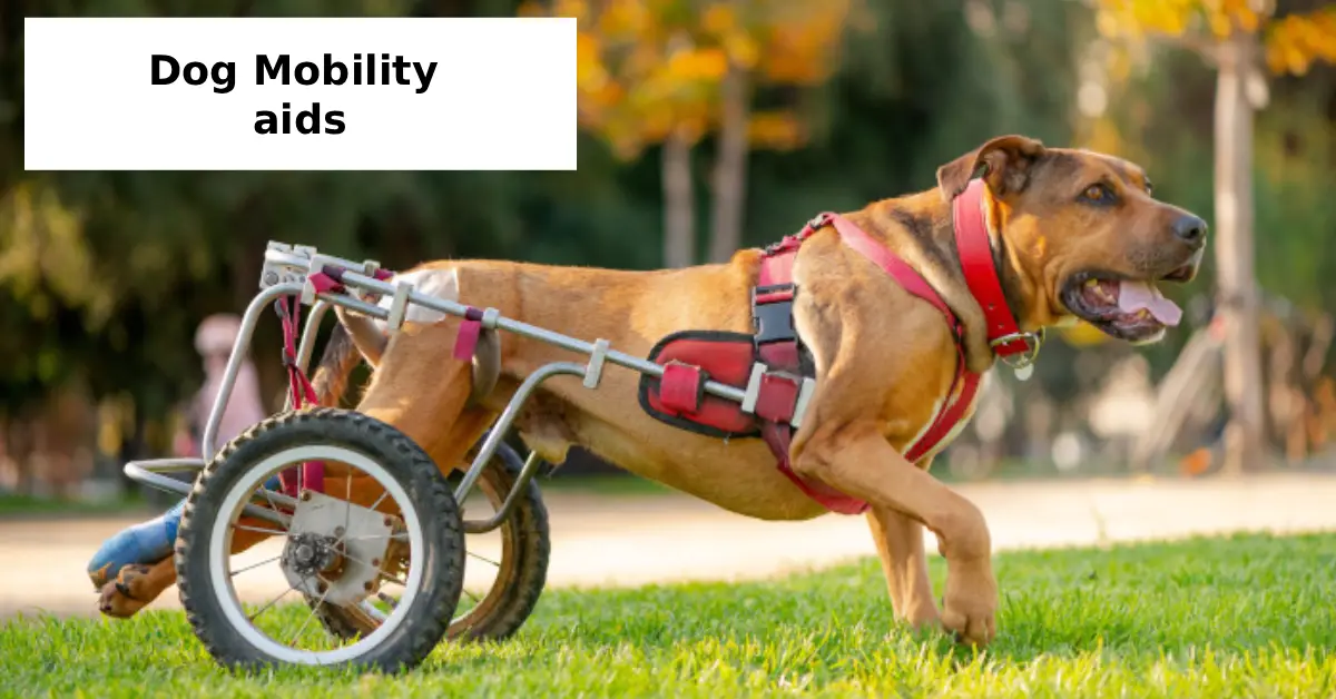 dog mobility aids