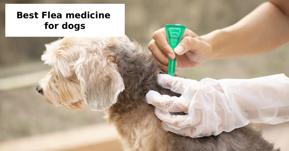 best flea medicine for dogs USA