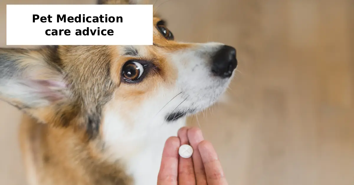 pet medication care advice