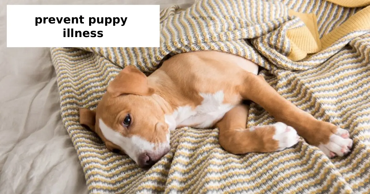 prevent puppy illness