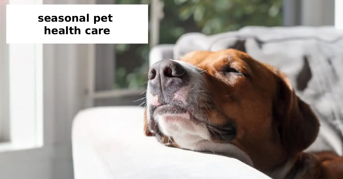 seasonal pet health care