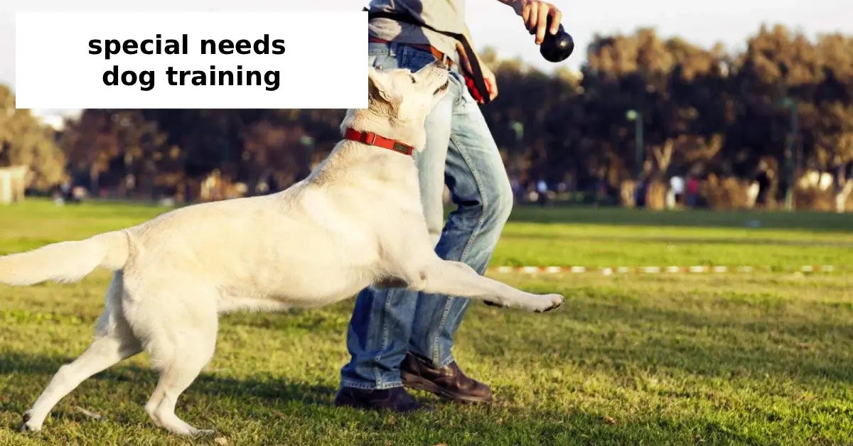 special needs dog training