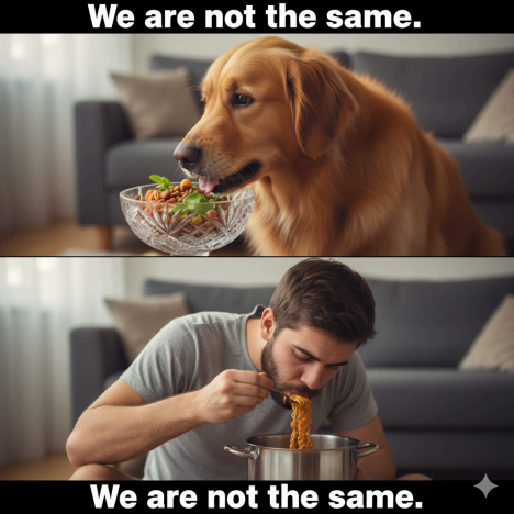 Cult of Pet Food and Treats