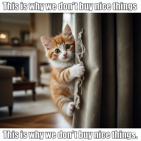 Kitten Care