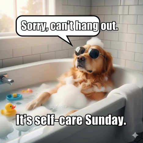 Pet Grooming Supplies